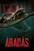 Áradás poszter