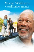 Monte Wildhorn csodálatos nyara poszter