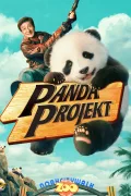 Panda projekt poszter