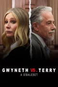 Gwyneth vs. Terry: A síbaleset poszter