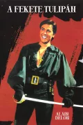Fekete tulipán poszter