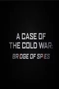 A Case of the Cold War: Bridge of Spies poszter