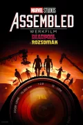 Assembled: Deadpool & Rozsomák werkfilm poszter