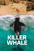 Killer Whale poszter