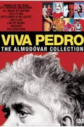 Deconstructing Almodóvar poszter