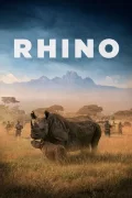 Rhino poszter