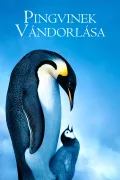 Pingvinek vándorlása poszter