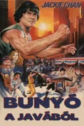 Jackie Chan: Bunyó a javából poszter