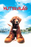 Kutyavilág poszter