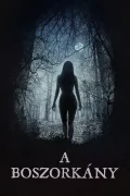 A boszorkány poszter