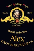 Alex Csodaországban poszter