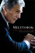 Mélytorok: A Watergate-sztori poszter