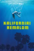 Kaliforniai rémálom poszter