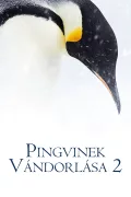 Pingvinek vándorlása 2. poszter