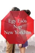 Egy esős nap New Yorkban poszter