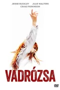 Vadrózsa poszter