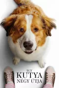 Egy kutya négy útja poszter