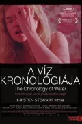 A víz kronológiája poszter