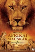 Afrikai macskák - A bátorság birodalma poszter