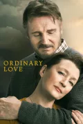 Ordinary Love poszter
