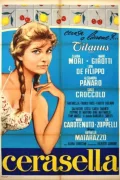 Cerasella poszter