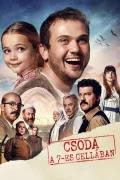 Csoda a 7-es cellában poszter