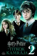 Harry Potter és a Titkok kamrája poszter