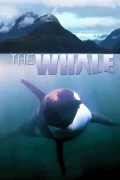 The Whale poszter