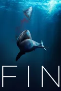 Fin poszter