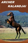 Archer kalandja poszter