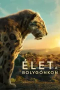 Élet a bolygónkon poszter