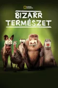 Bizarr természet poszter