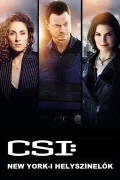 CSI: New York-i helyszínelők poszter