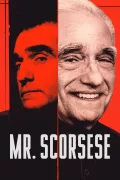 Mr. Scorsese poszter