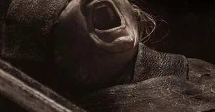 Lee Cronin: A múmia – mikor jön a mozikba, és miért nézik már most ennyien?