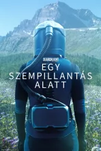Egy szempillantás alatt