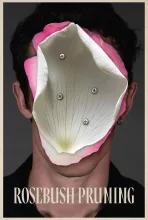 Rosebush Pruning