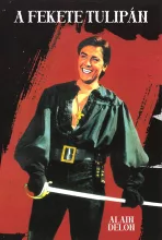 Fekete tulipán