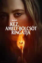 A kéz, amely a bölcsőt ringatja