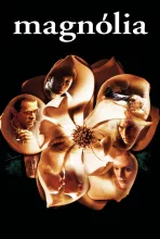 Magnólia