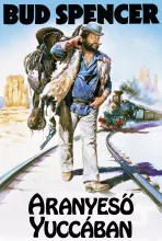 Aranyeső Yuccában