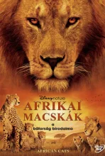Afrikai macskák - A bátorság birodalma