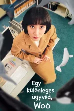 Egy különleges ügyvéd, Woo