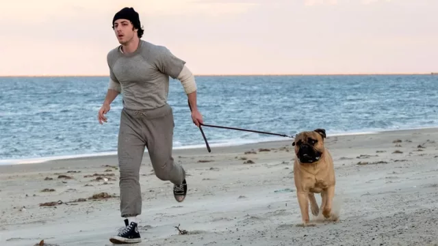 I Play Rocky