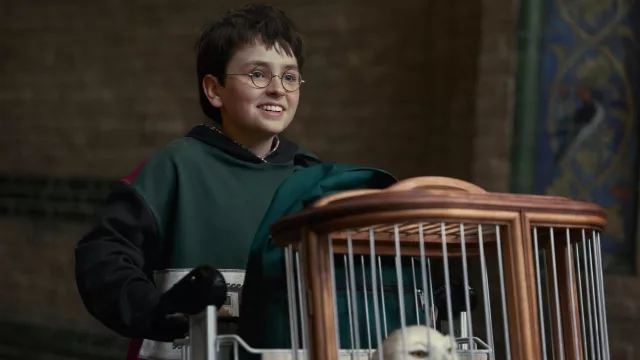 Harry Potter