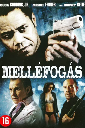 Melléfogás