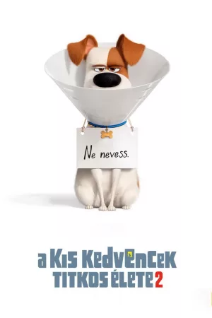 A kis kedvencek titkos élete 2.