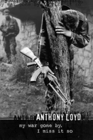 My War Gone By, I Miss It So