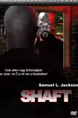 Shaft