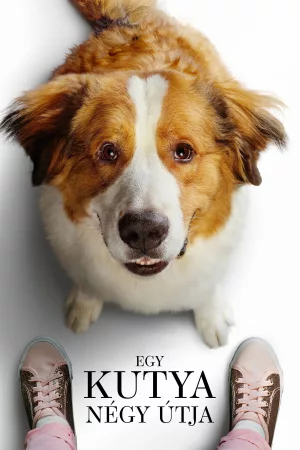Egy kutya négy útja
